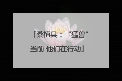 桑植县：“猛兽”当前 他们在行动